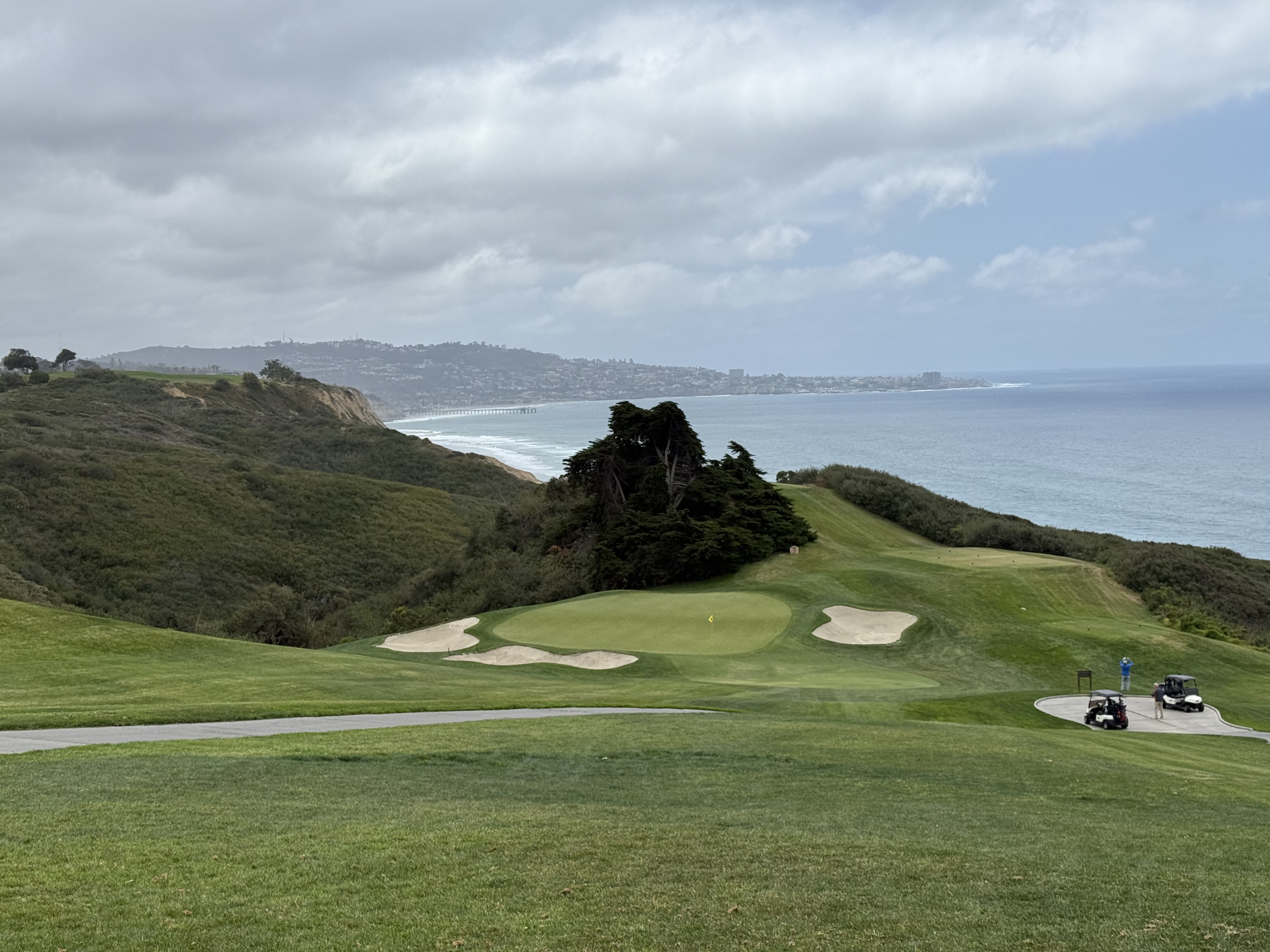 Clifftop green with cypress trees above the Pacific coastline